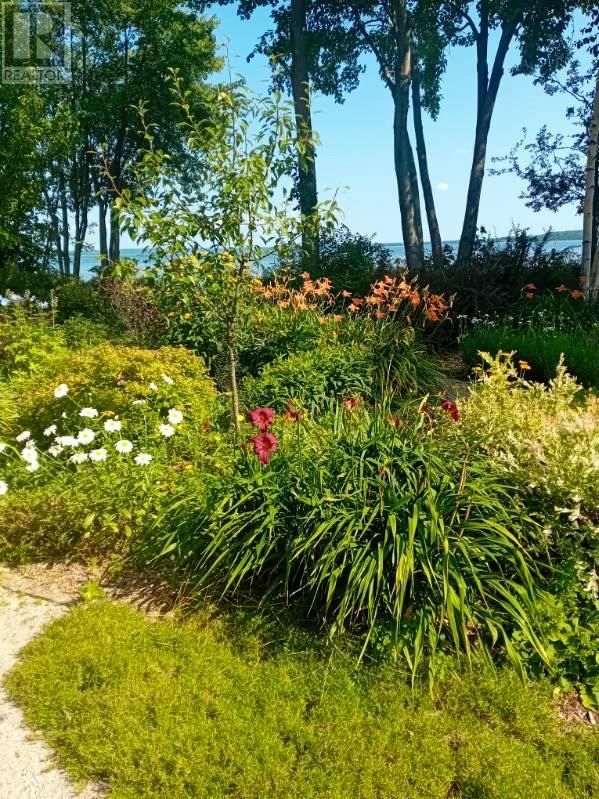 968 ROBERTSON ROAD Image 51