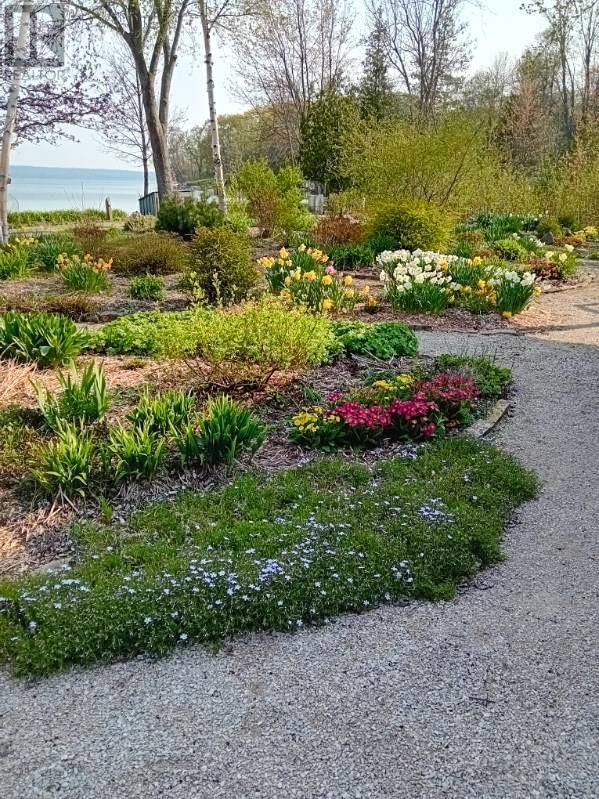 968 ROBERTSON ROAD Image 53