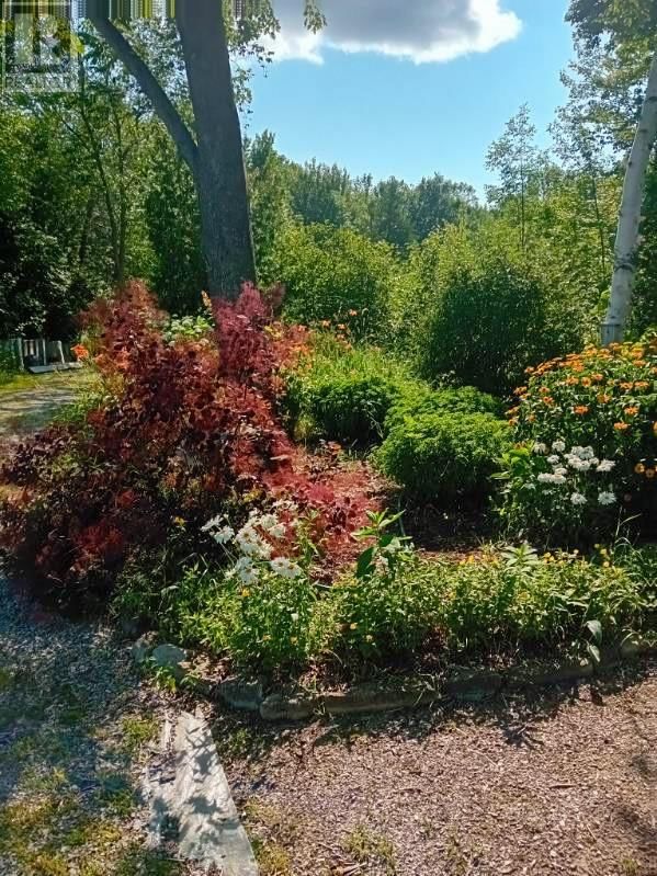 968 ROBERTSON ROAD Image 55