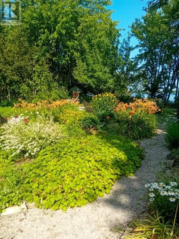 968 ROBERTSON ROAD Image 57