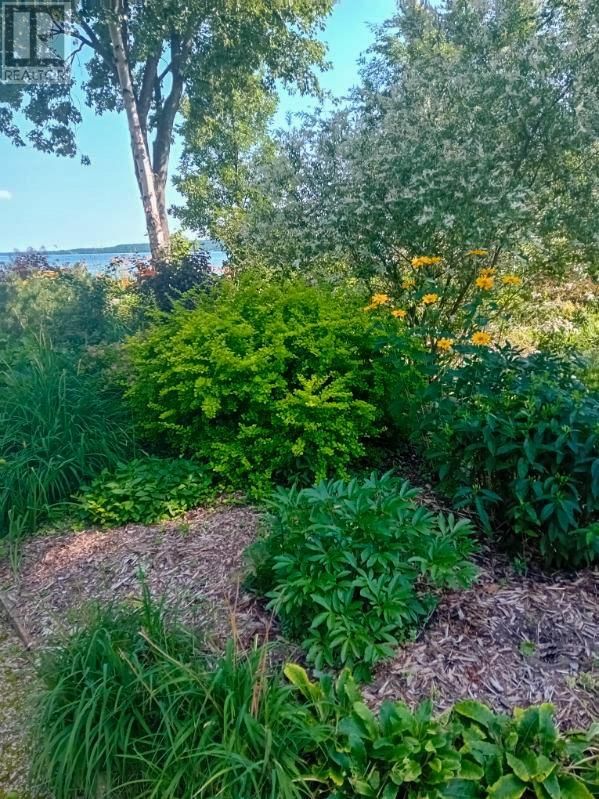 968 ROBERTSON ROAD Image 60
