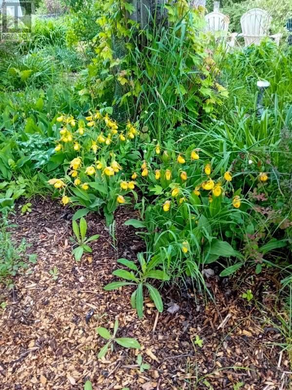968 ROBERTSON ROAD Image 65