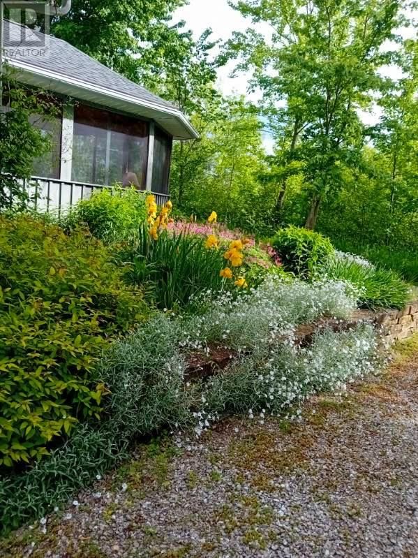 968 ROBERTSON ROAD Image 68