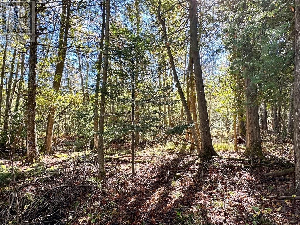968 ROBERTSON ROAD Image 80