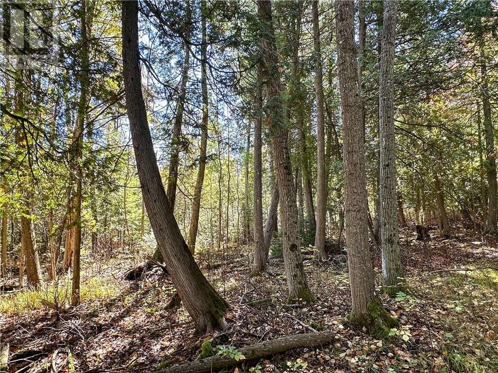968 ROBERTSON ROAD Image 81