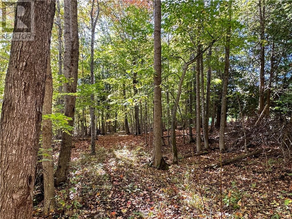 968 ROBERTSON ROAD Image 83