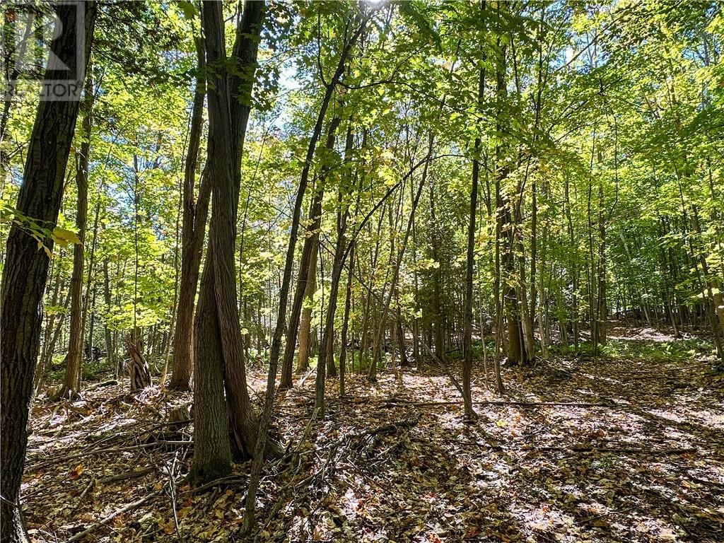 968 ROBERTSON ROAD Image 84