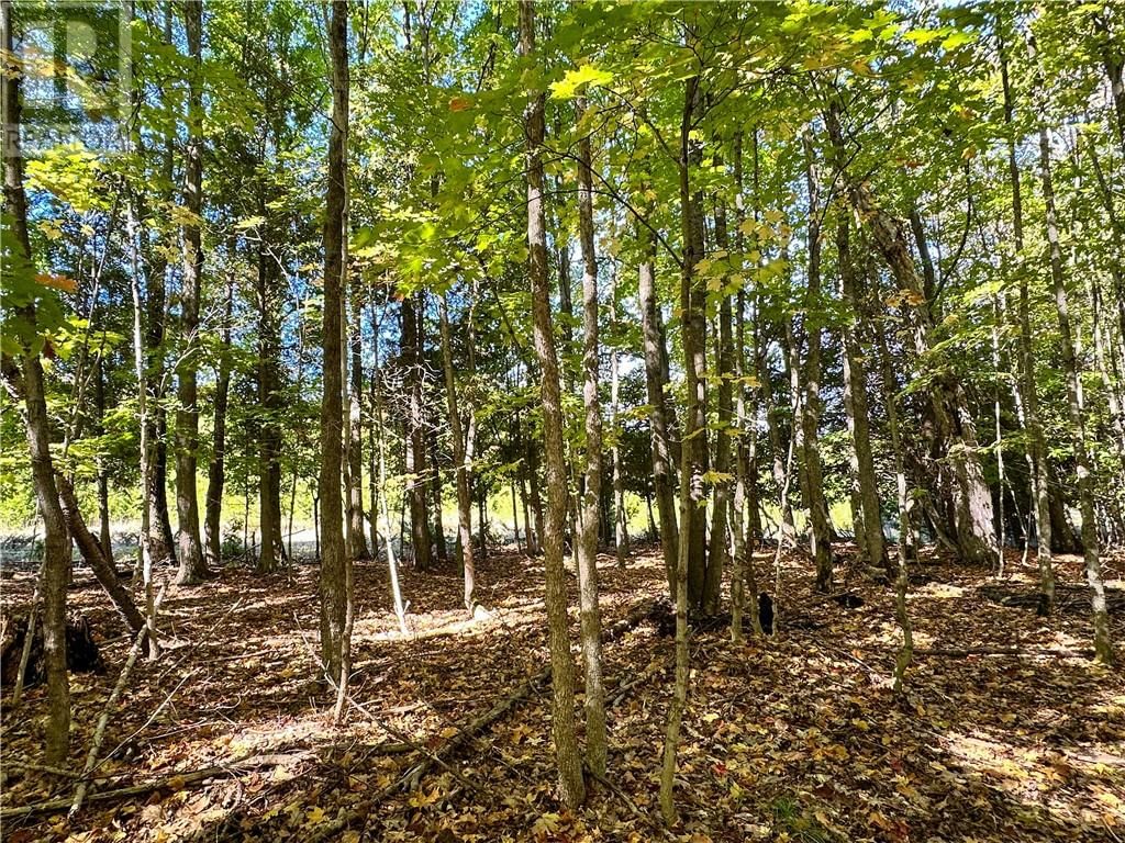 968 ROBERTSON ROAD Image 85