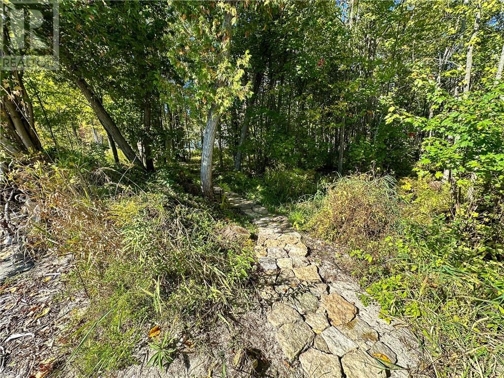 968 ROBERTSON ROAD Image 87
