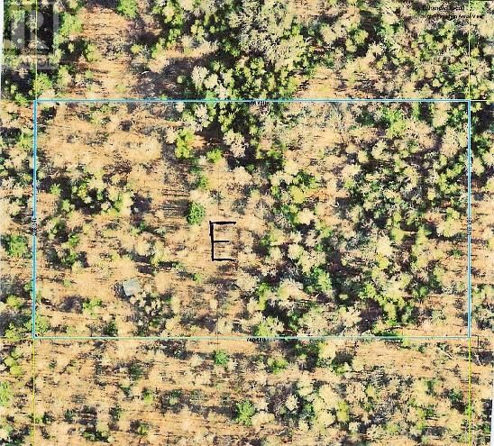 PL28&27C1 ALLAN CYRUS LINE Image 4