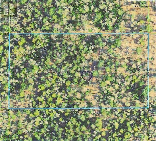 PL28&27C1 ALLAN CYRUS LINE Image 5