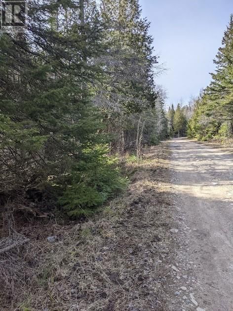 Part 57 RR39 Pebble Road  Silver Water, Manitoulin Island, P0P1Y0 | Image 13