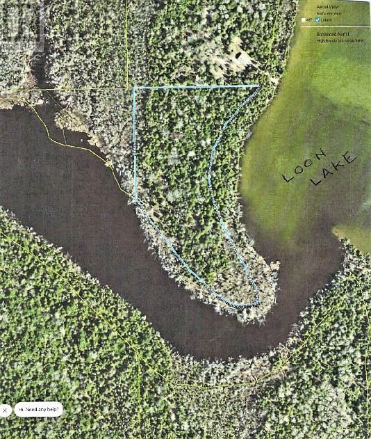 PL12C6 Loon Lake Landing Image 2