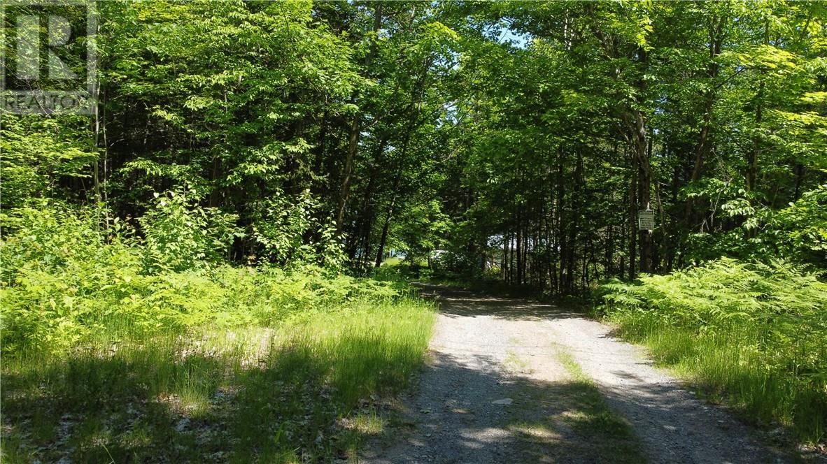 31 HWY 546 Image 4