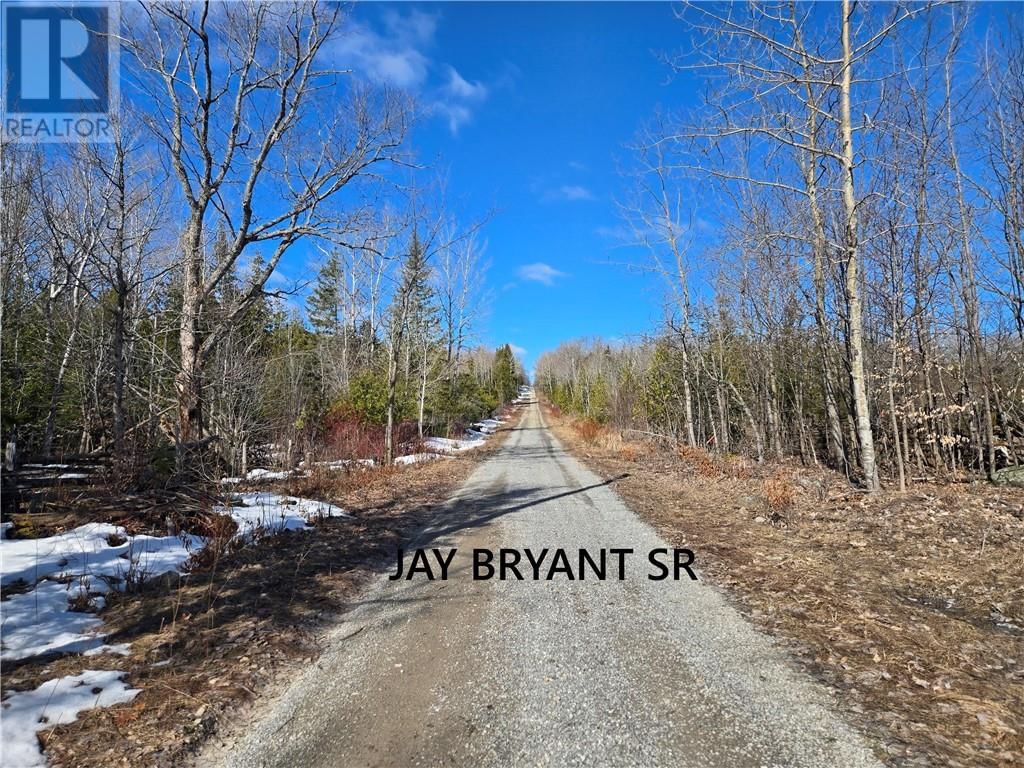 18 JAY BRYANT SR Image 3