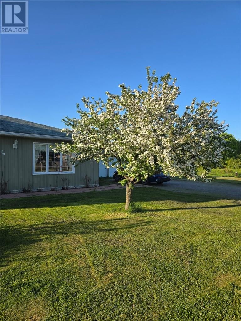 50 HAROLD FRYER DRIVE Image 28