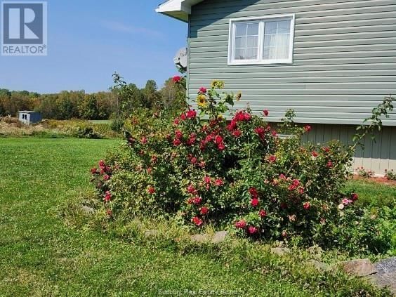 50 HAROLD FRYER DRIVE Image 46