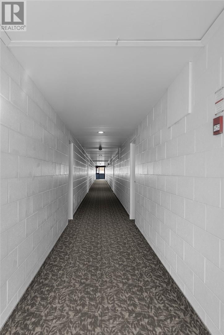2 CARTER STREET Image 24
