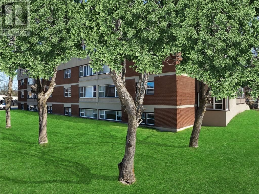 2 CARTER STREET Image 3