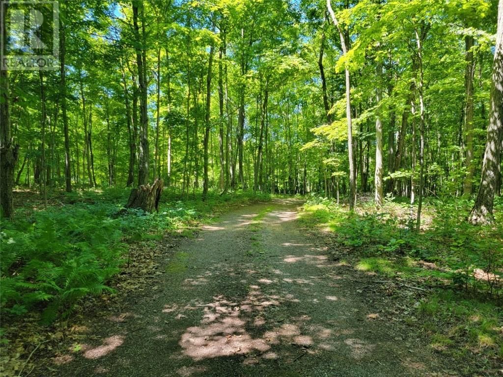 462 MAPLE POINT RD Image 64