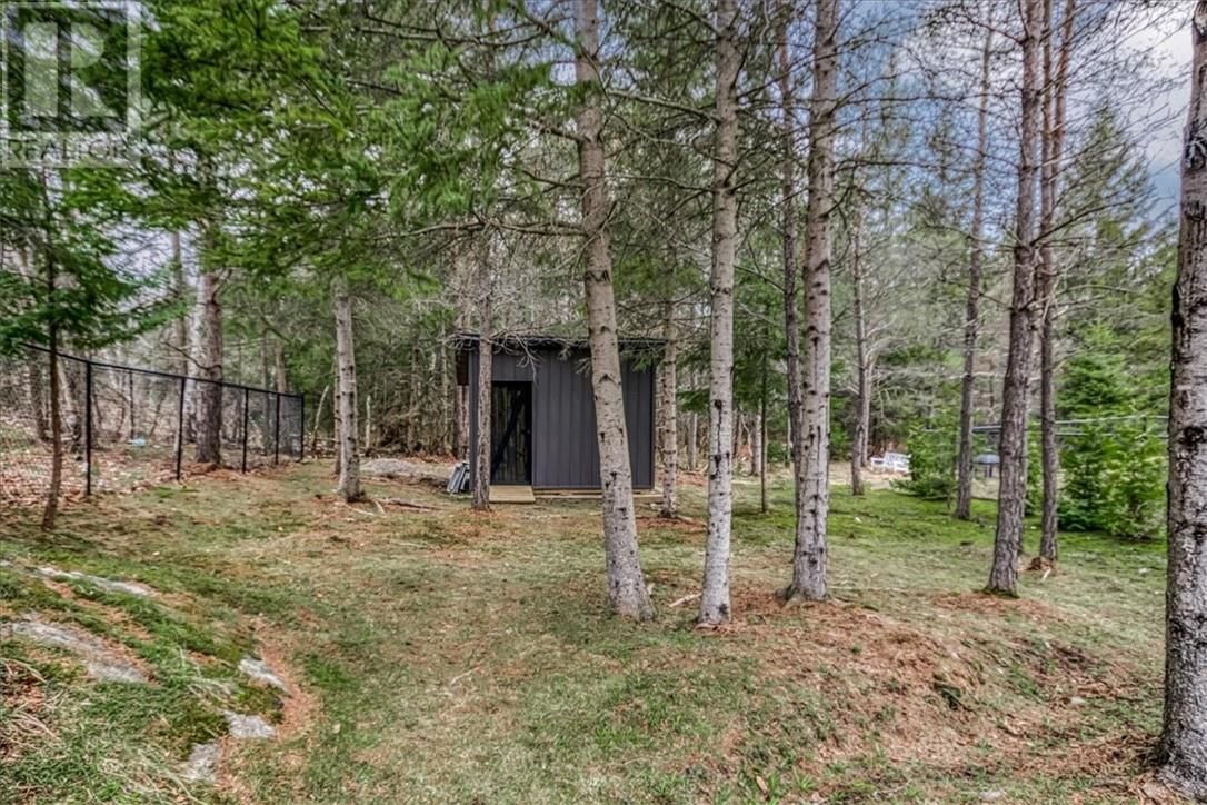 20 CHINABERRY DRIVE Image 9