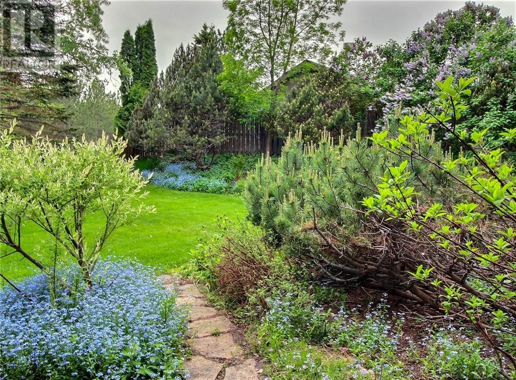 67 RAVINA DRIVE Image 31