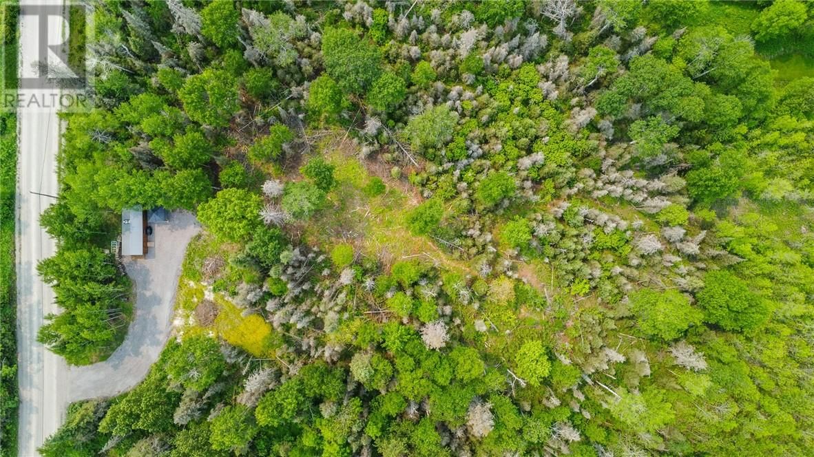 318 GRASSY LAKE ROAD Image 18