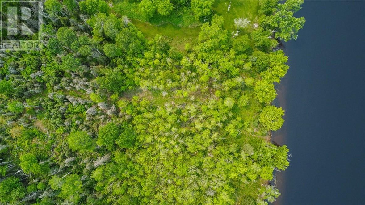 318 GRASSY LAKE ROAD Image 19