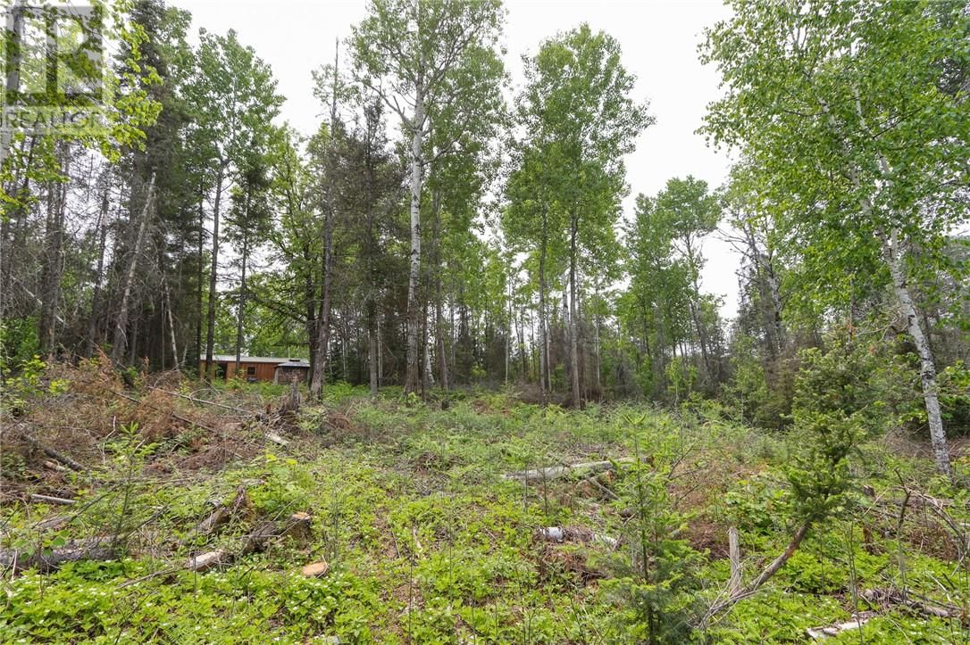 318 GRASSY LAKE ROAD Image 22