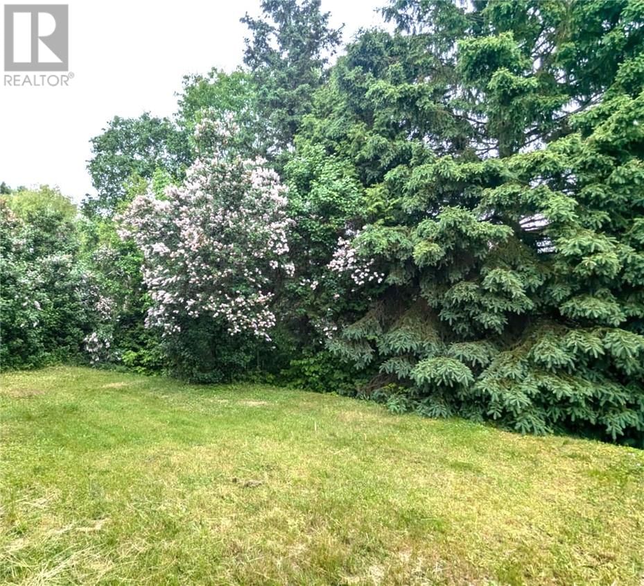 541 LOACH'S ROAD Image 20