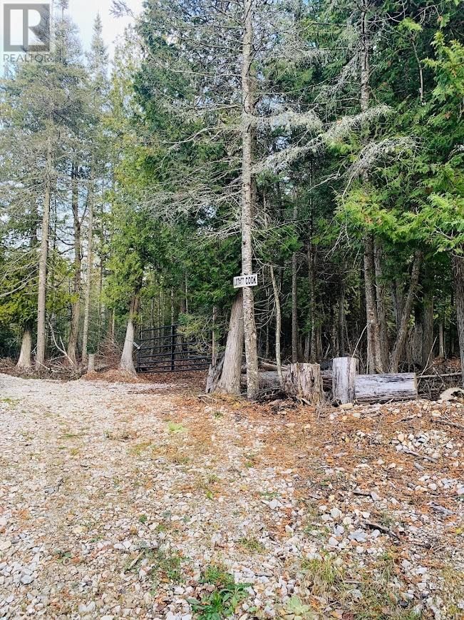 PL7C1 ROBINSON PEBBLE ROAD Image 21