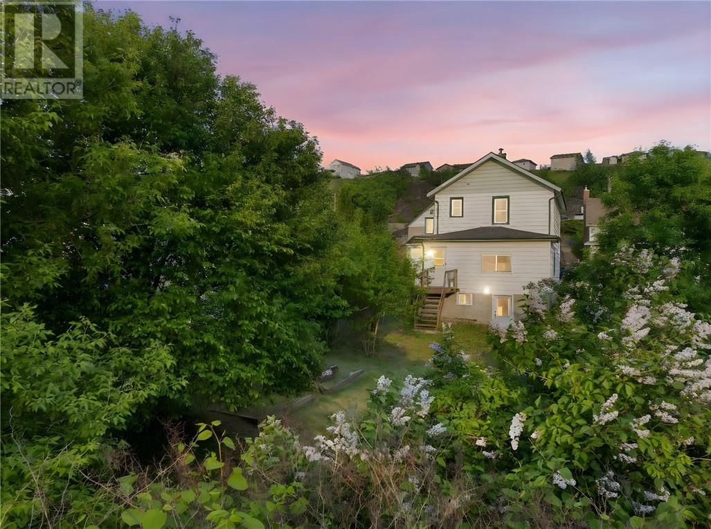 207 MOUNTAIN STREET Image 2