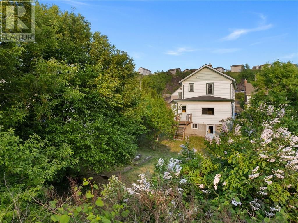 207 MOUNTAIN STREET Image 3