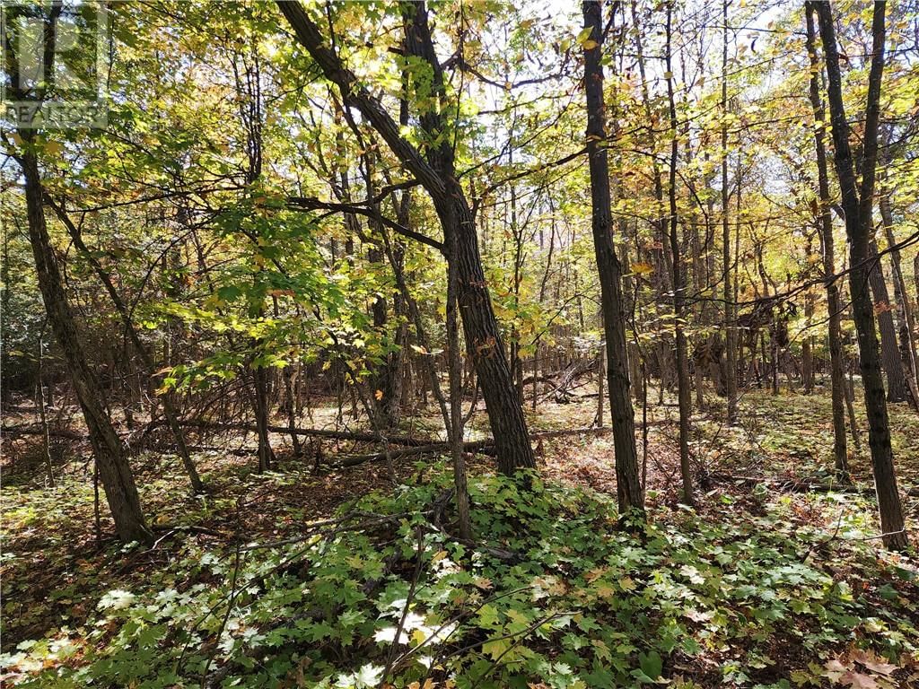 C8 - L12&L13 EVERGREEN LN Image 20