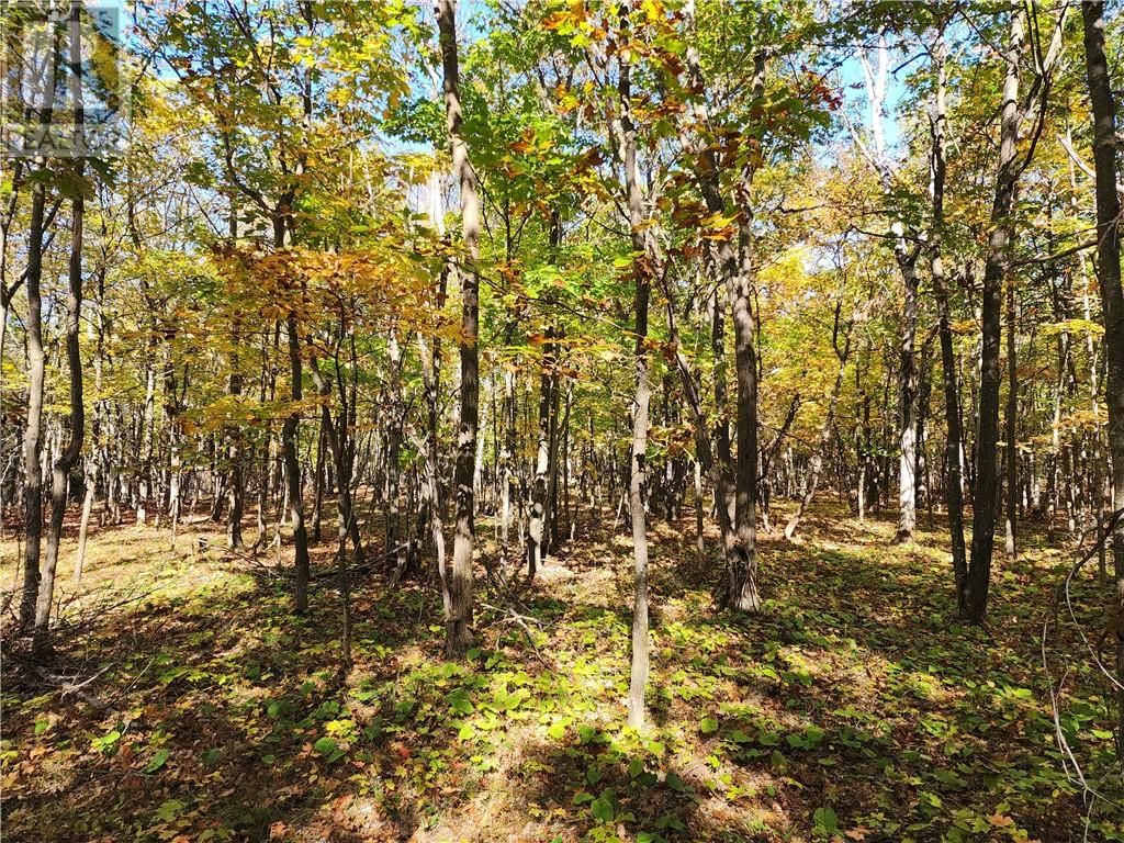 C8 - L12&L13 EVERGREEN LN Image 21