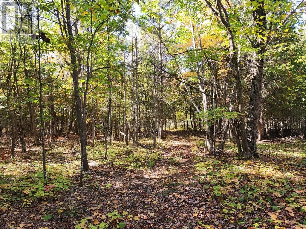 C8 - L12&L13 EVERGREEN LN Image 22