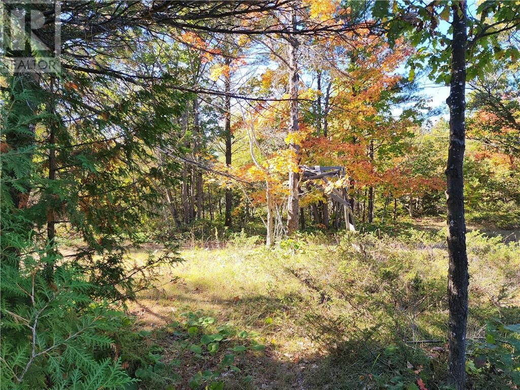 C8 - L12&L13 EVERGREEN LN Image 23