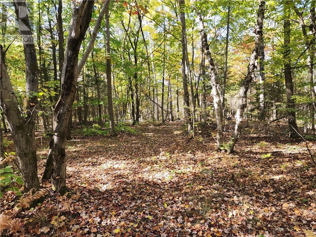 C8 - L12&L13 EVERGREEN LN Image 24