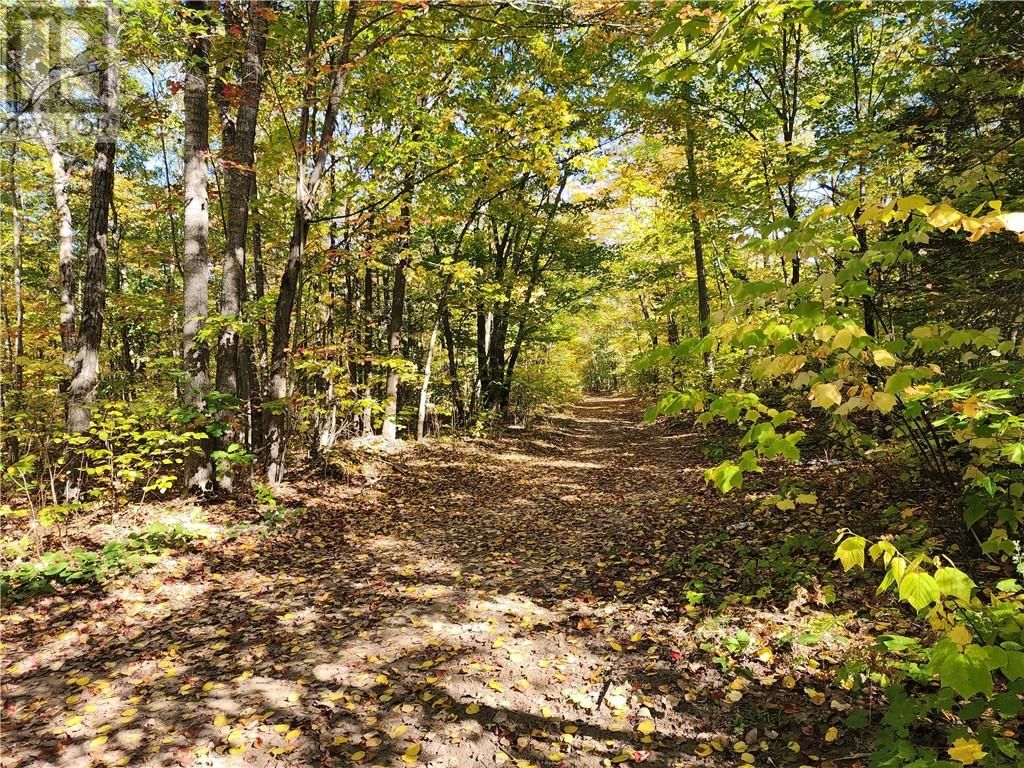 C8 - L12&L13 EVERGREEN LN Image 25