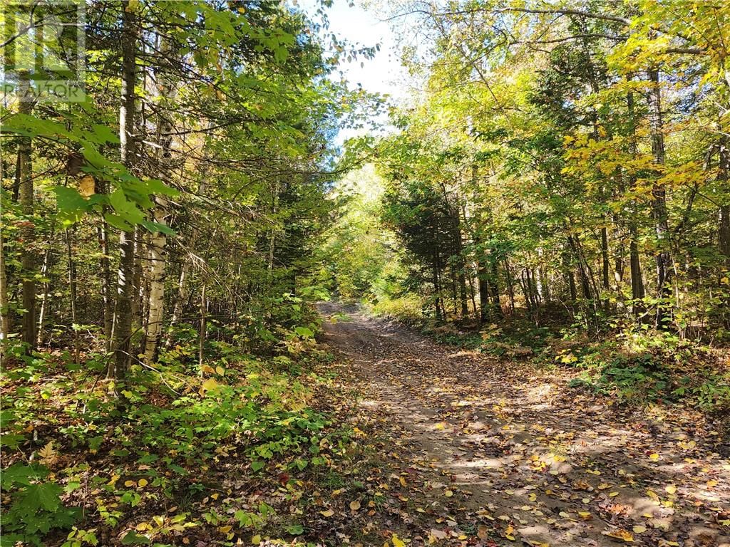 C8 - L12&L13 EVERGREEN LN Image 26