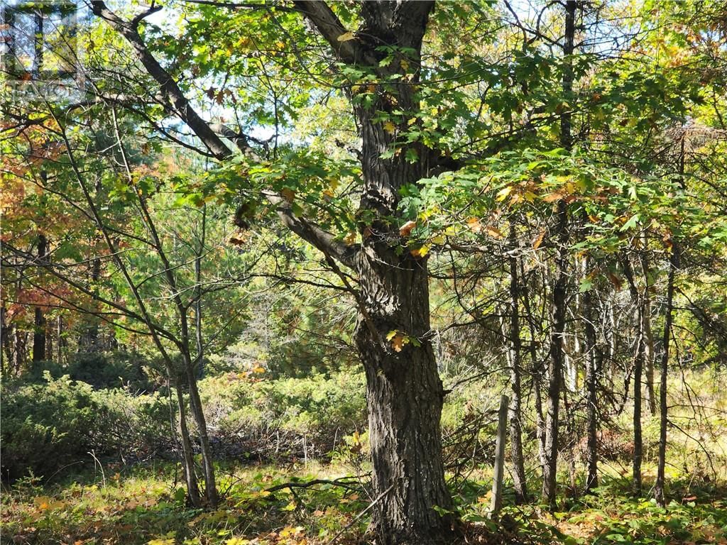 C8 - L12&L13 EVERGREEN LN Image 3