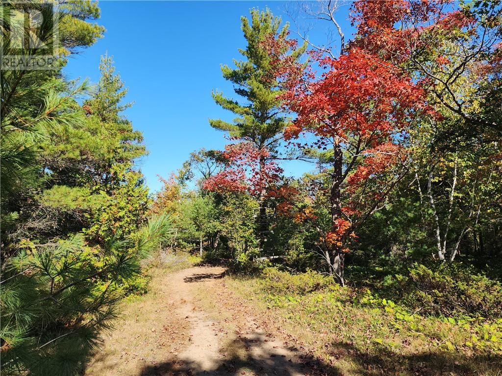 C8 - L12&L13 EVERGREEN LN Image 4