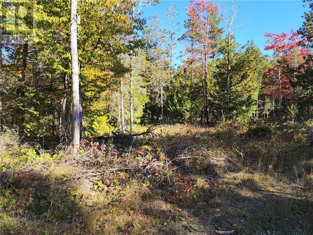 C8 - L12&L13 EVERGREEN LN Image 41