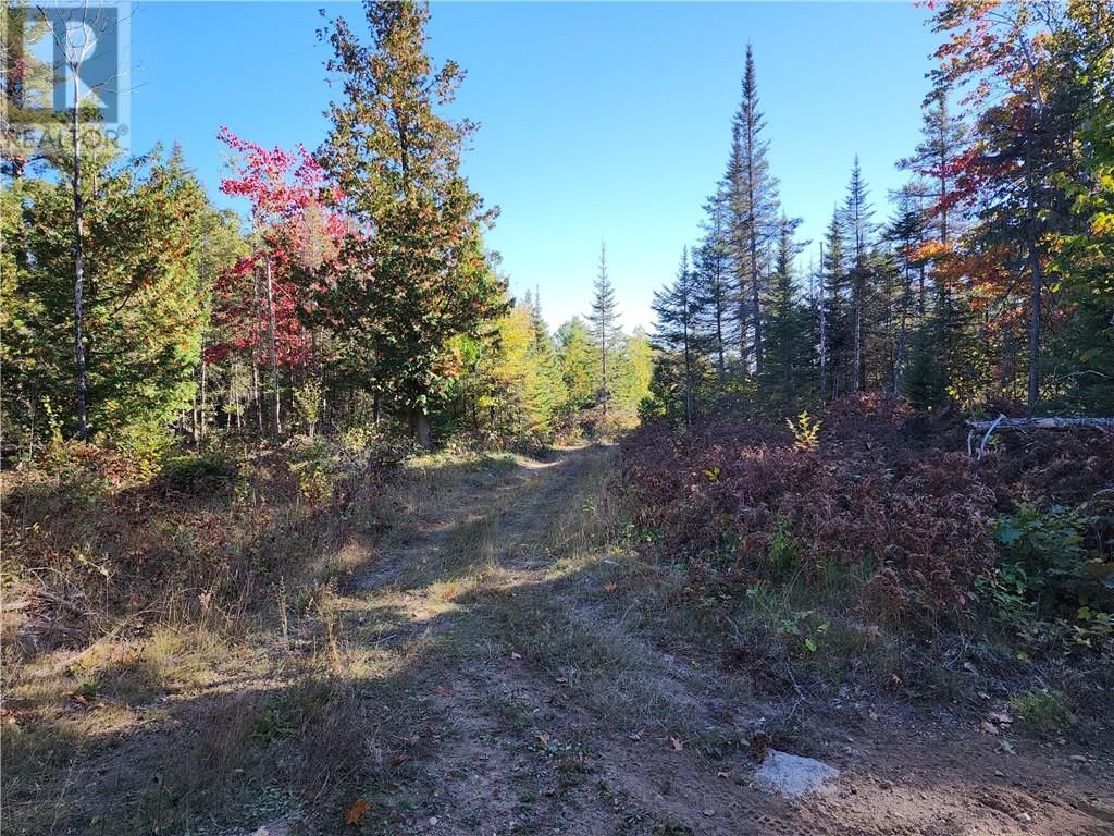 C8 - L12&L13 EVERGREEN LN Image 42