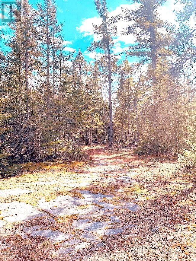 494 WALKHOUSE ROAD Image 24