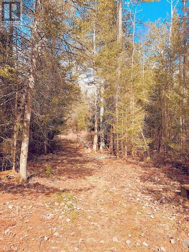 494 WALKHOUSE ROAD Image 28