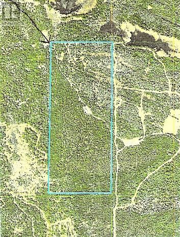 494 WALKHOUSE ROAD Image 29