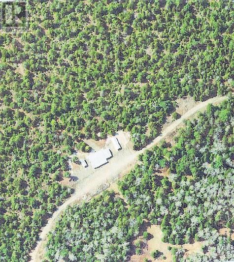 494 WALKHOUSE ROAD Image 30