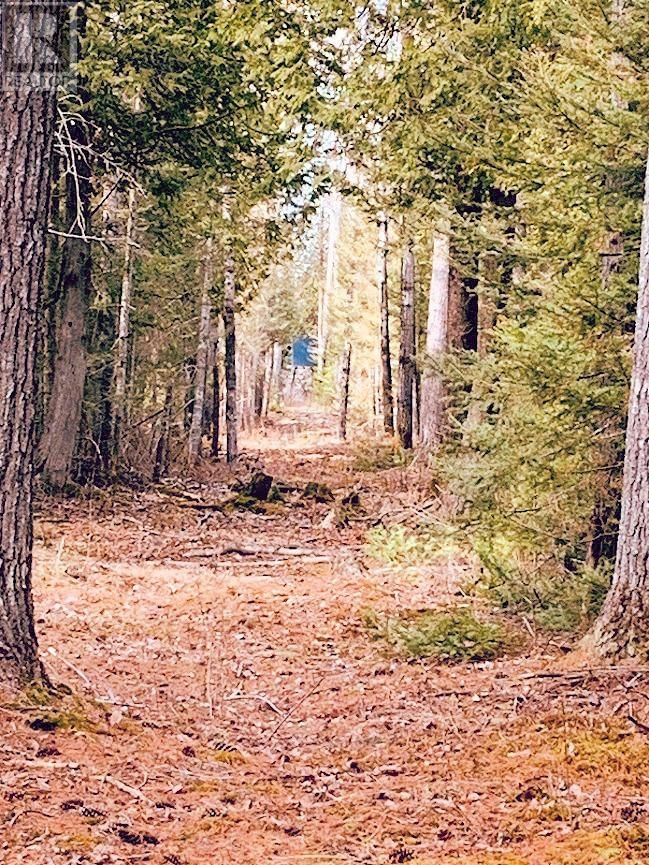 494 WALKHOUSE ROAD Image 33