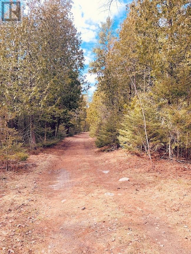 494 WALKHOUSE ROAD Image 34